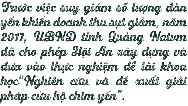 Bệnh viện chim yến giữa biển khơi - Ảnh 8.