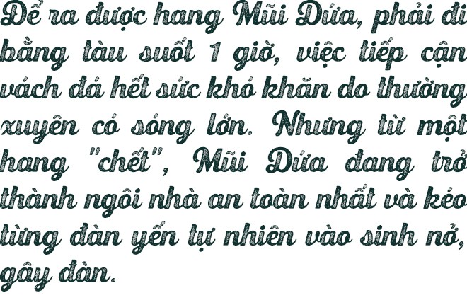 Bệnh viện chim yến giữa biển khơi - Ảnh 15.