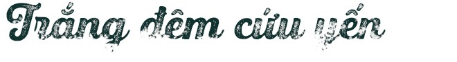 Bệnh viện chim yến giữa biển khơi - Ảnh 1.