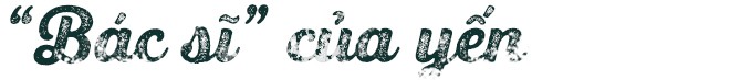 Bệnh viện chim yến giữa biển khơi - Ảnh 10.