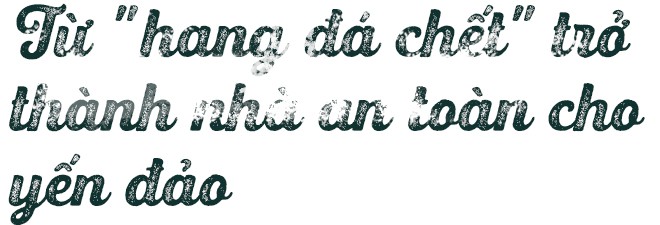 Bệnh viện chim yến giữa biển khơi - Ảnh 13.
