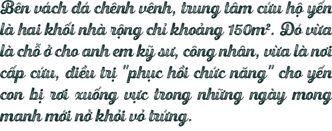 Bệnh viện chim yến giữa biển khơi - Ảnh 4.