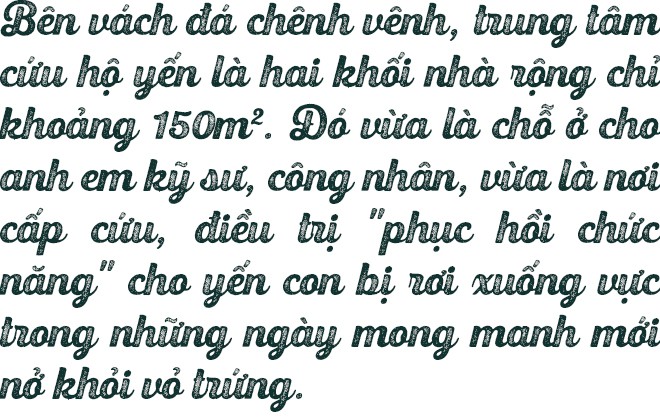 Bệnh viện chim yến giữa biển khơi - Ảnh 4.