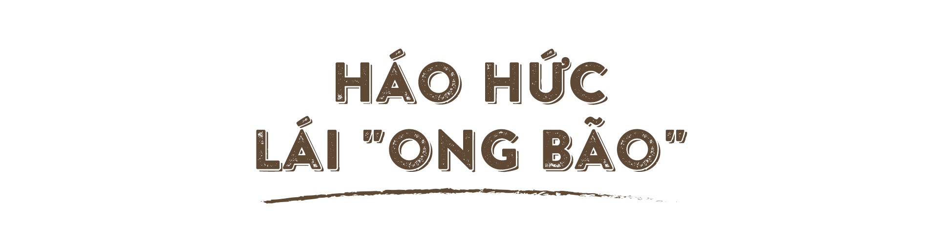 Lái Ong bão khám bệnh đô thị - Ảnh 11.