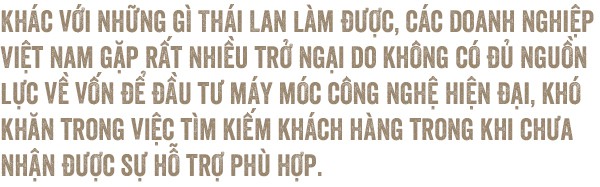 Công nghiệp hỗ trợ cho xe hơi: Trông người Thái mà ngẫm đến ta - Ảnh 15.