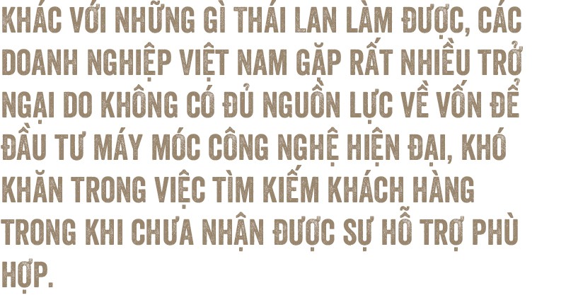 Công nghiệp hỗ trợ cho xe hơi: Trông người Thái mà ngẫm đến ta - Ảnh 15.