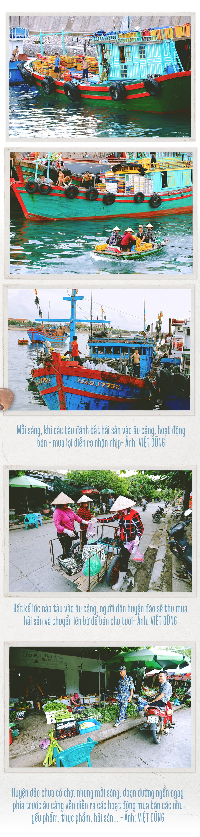 Ở xứ sở bào ngư Bạch Long Vĩ - Ảnh 11.
