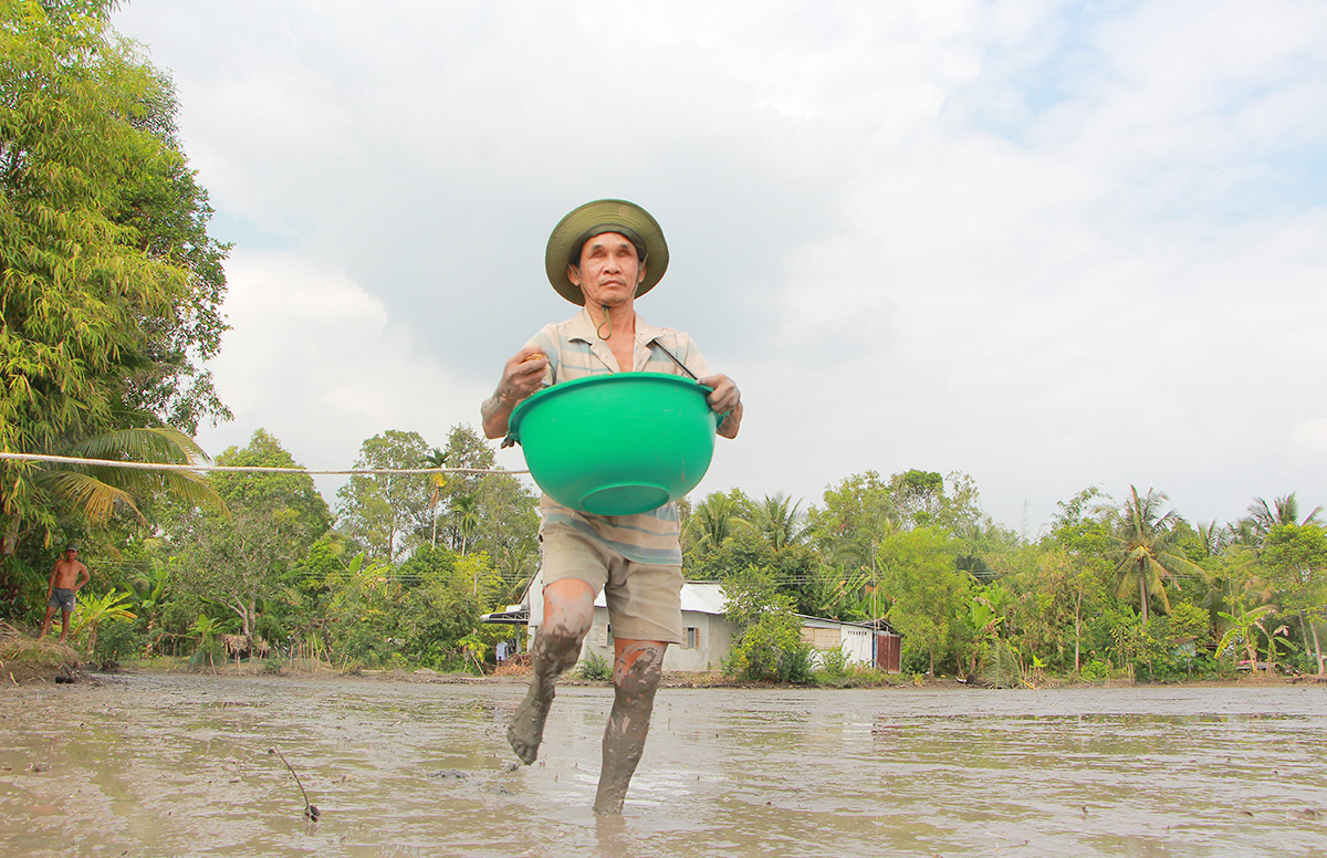 Ông mù mần ruộng - Ảnh 1. Ông mù mần ruộng - Ảnh 1.
