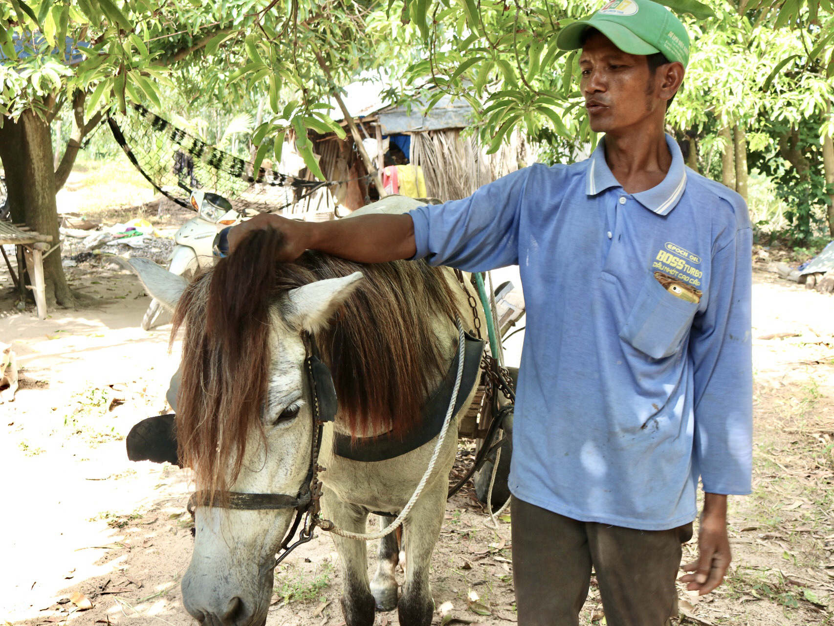 Những chiếc xe ngựa cuối cùng ở Bảy Núi - Ảnh 4. Những chiếc xe ngựa cuối cùng ở Bảy Núi - Ảnh 4.