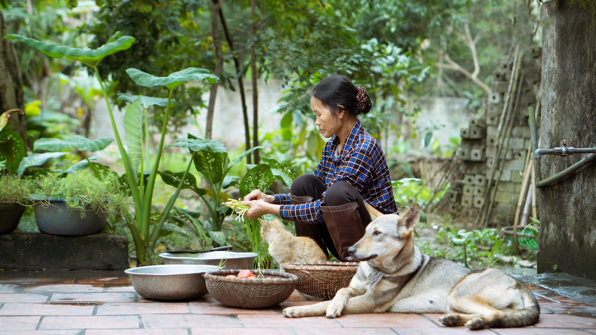 87079846_2497464713836827_365425339486175232_o