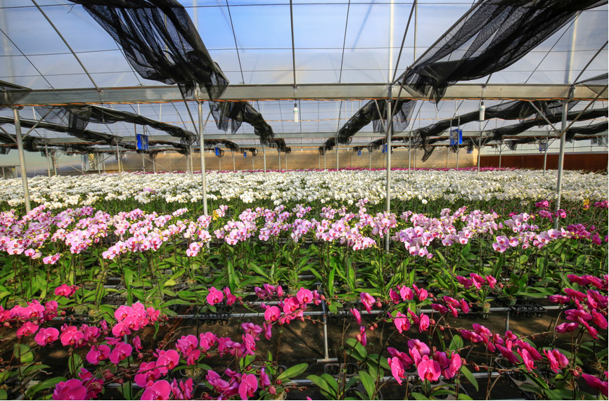 Xây dựng Đà Lạt - Kết tinh kỳ diệu từ đất lành thành thương hiệu quốc tế - Ảnh 5. Xây dựng Đà Lạt - Kết tinh kỳ diệu từ đất lành thành thương hiệu quốc tế - Ảnh 5.