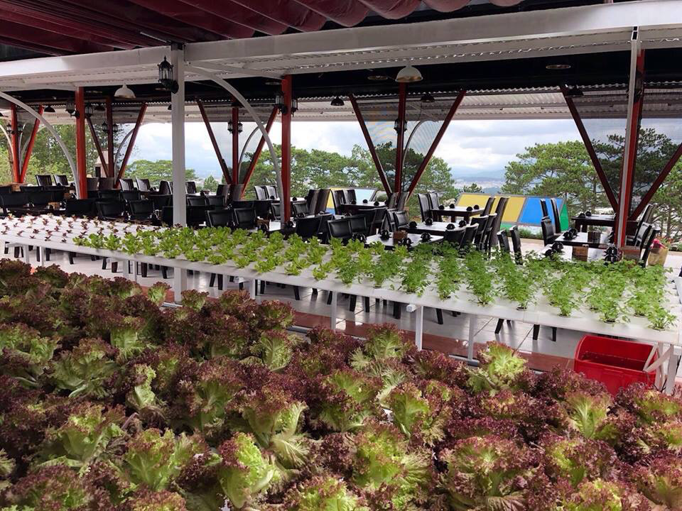 Xây dựng Đà Lạt - Kết tinh kỳ diệu từ đất lành thành thương hiệu quốc tế - Ảnh 6. Xây dựng Đà Lạt - Kết tinh kỳ diệu từ đất lành thành thương hiệu quốc tế - Ảnh 6.