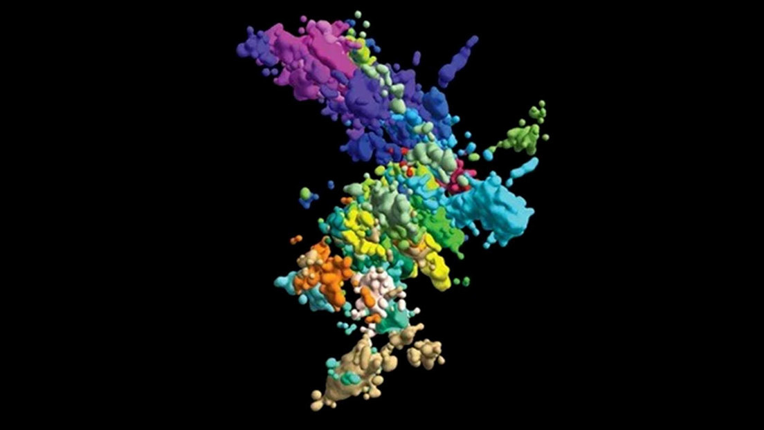 Khoa học chụp ảnh chân dung thật sự của nhiễm sắc thể, không như trong sách - Ảnh 1. Khoa học chụp ảnh chân dung thật sự của nhiễm sắc thể, không như trong sách - Ảnh 1.