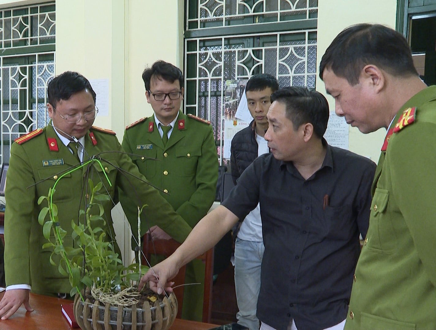 Bắt 3 thanh niên lừa bán lan đột biến, chiếm đoạt hơn 1 tỉ đồng - Ảnh 1. Bắt 3 thanh niên lừa bán lan đột biến, chiếm đoạt hơn 1 tỉ đồng - Ảnh 1.