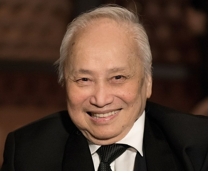 Năm 2020: Vĩnh biệt những người tài hoa của văn hóa giải trí nước nhà - Ảnh 16.