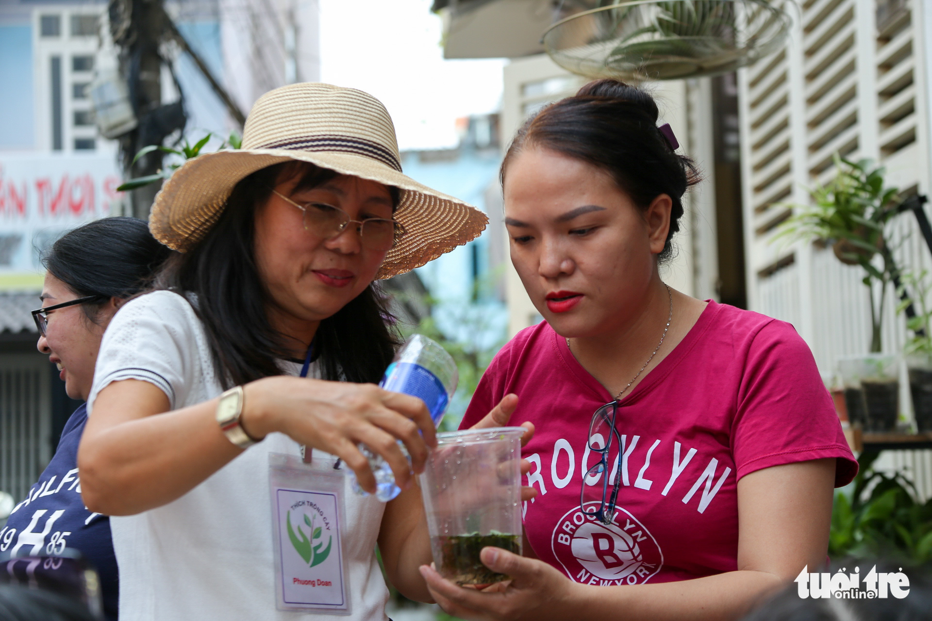 Trao đổi cây xanh với giá 0 đồng - Ảnh 9. Trao đổi cây xanh với giá 0 đồng - Ảnh 9.