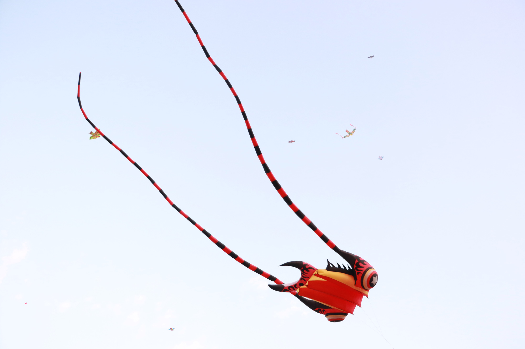 Mùa diều lộng gió ở Sài Gòn - Ảnh 4.