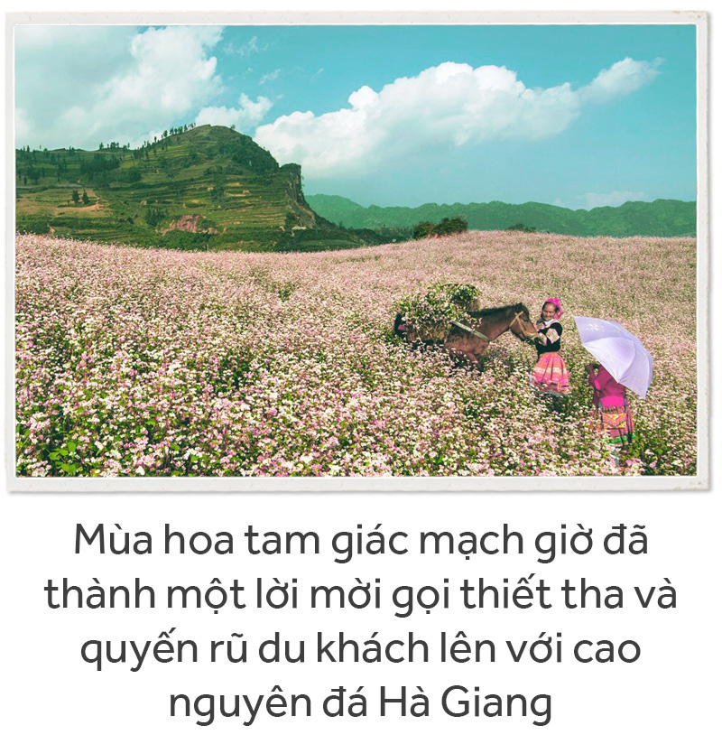 55 năm Cung đường Hạnh Phúc trên trập trùng núi đá Hà Giang - Ảnh 19.