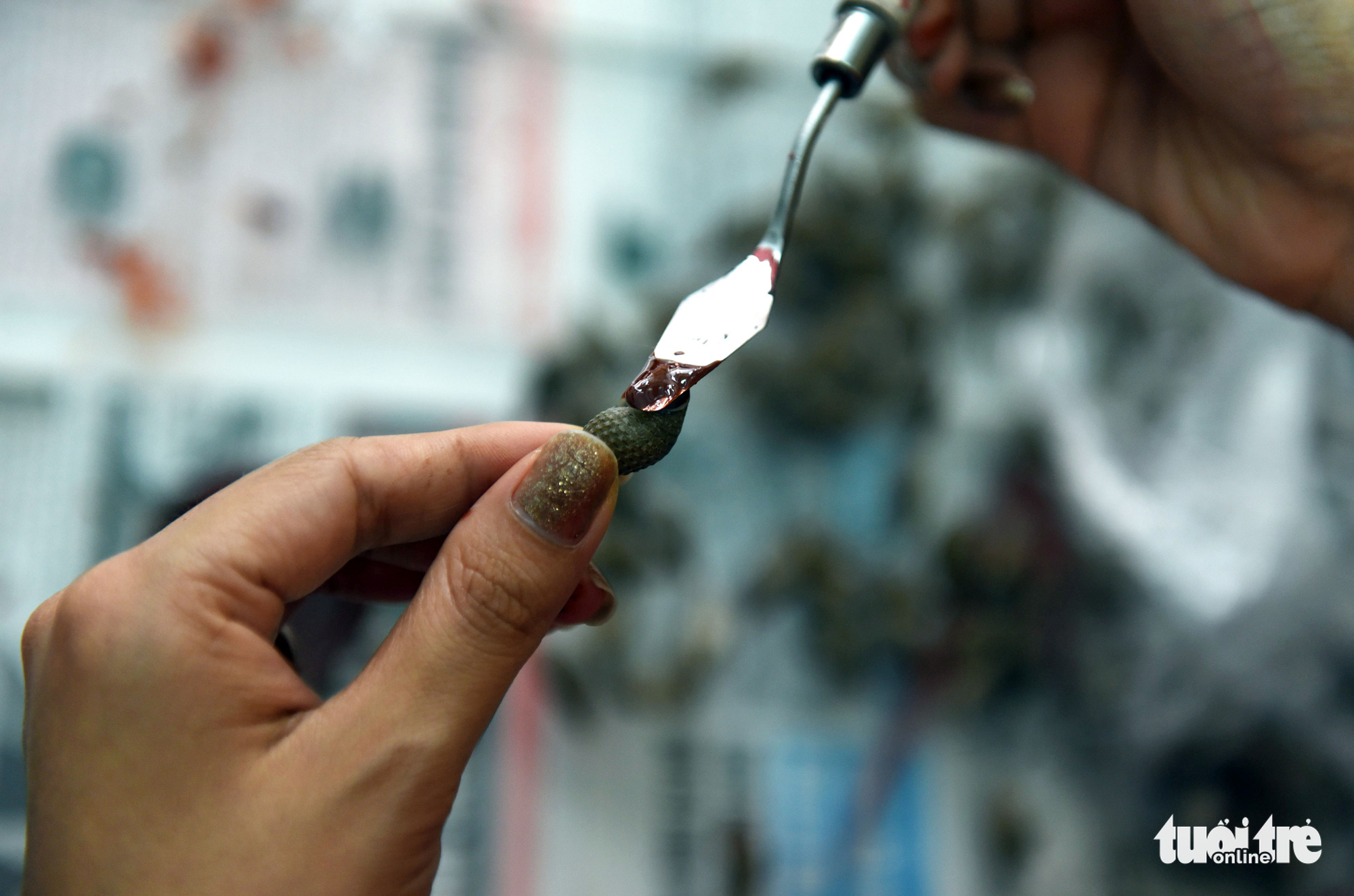 Vỏ sò, vỏ ốc: nguyên liệu tuyệt vời, thanh lịch và rất dễ dàng tìm thấy - Ảnh 8. Vỏ sò, vỏ ốc: nguyên liệu tuyệt vời, thanh lịch và rất dễ dàng tìm thấy - Ảnh 8.