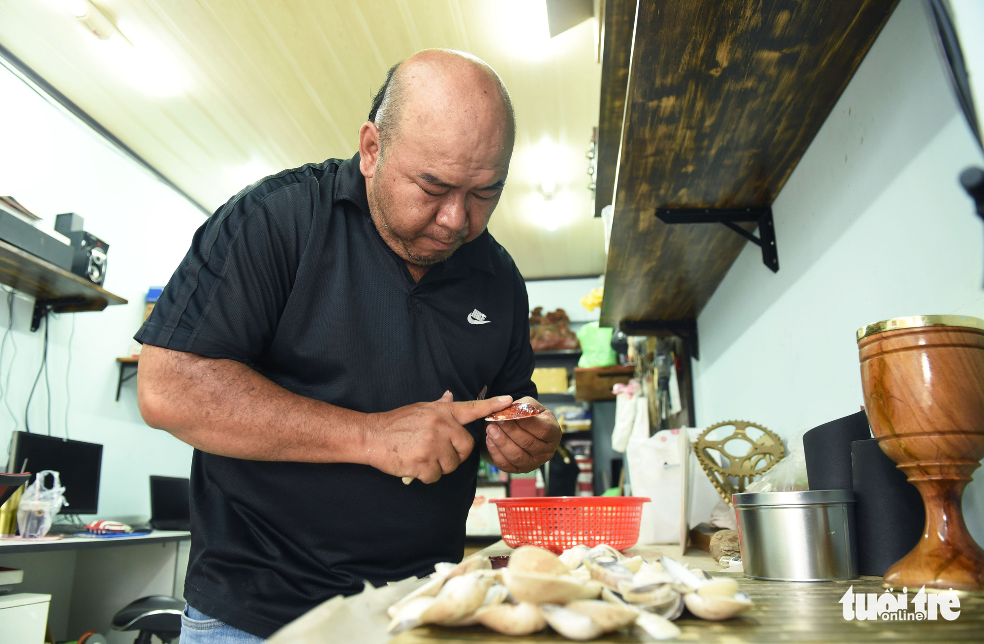 Vỏ sò, vỏ ốc: nguyên liệu tuyệt vời, thanh lịch và rất dễ dàng tìm thấy - Ảnh 3. Vỏ sò, vỏ ốc: nguyên liệu tuyệt vời, thanh lịch và rất dễ dàng tìm thấy - Ảnh 3.