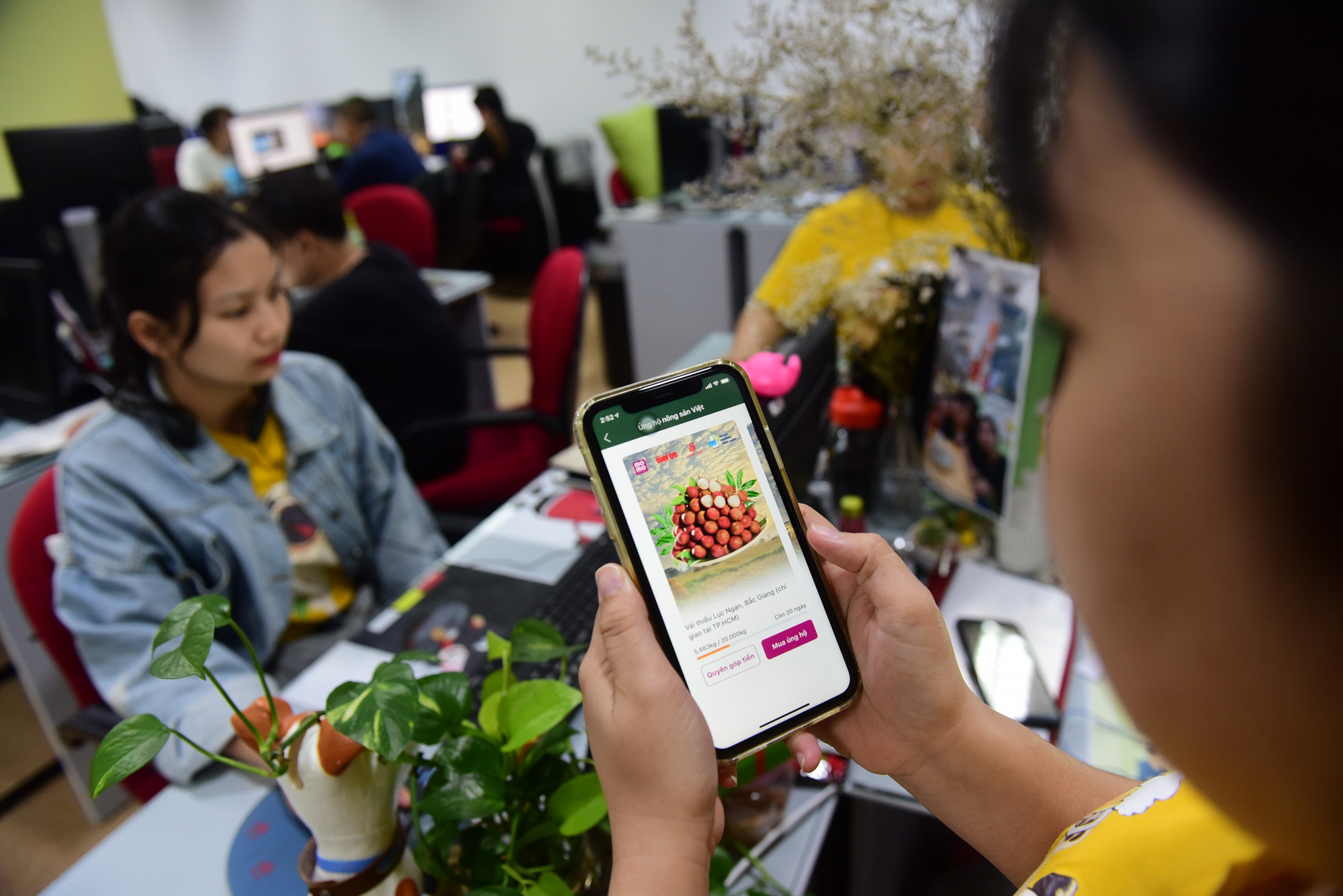 Saigon Co.op bán hàng trên app, tăng kết nối người dùng - Ảnh 1. Saigon Co.op bán hàng trên app, tăng kết nối người dùng - Ảnh 1.