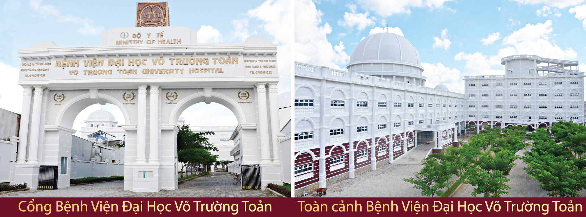 Y khoa và dược học - ngành đào tạo hấp dẫn và triển vọng - Ảnh 4.