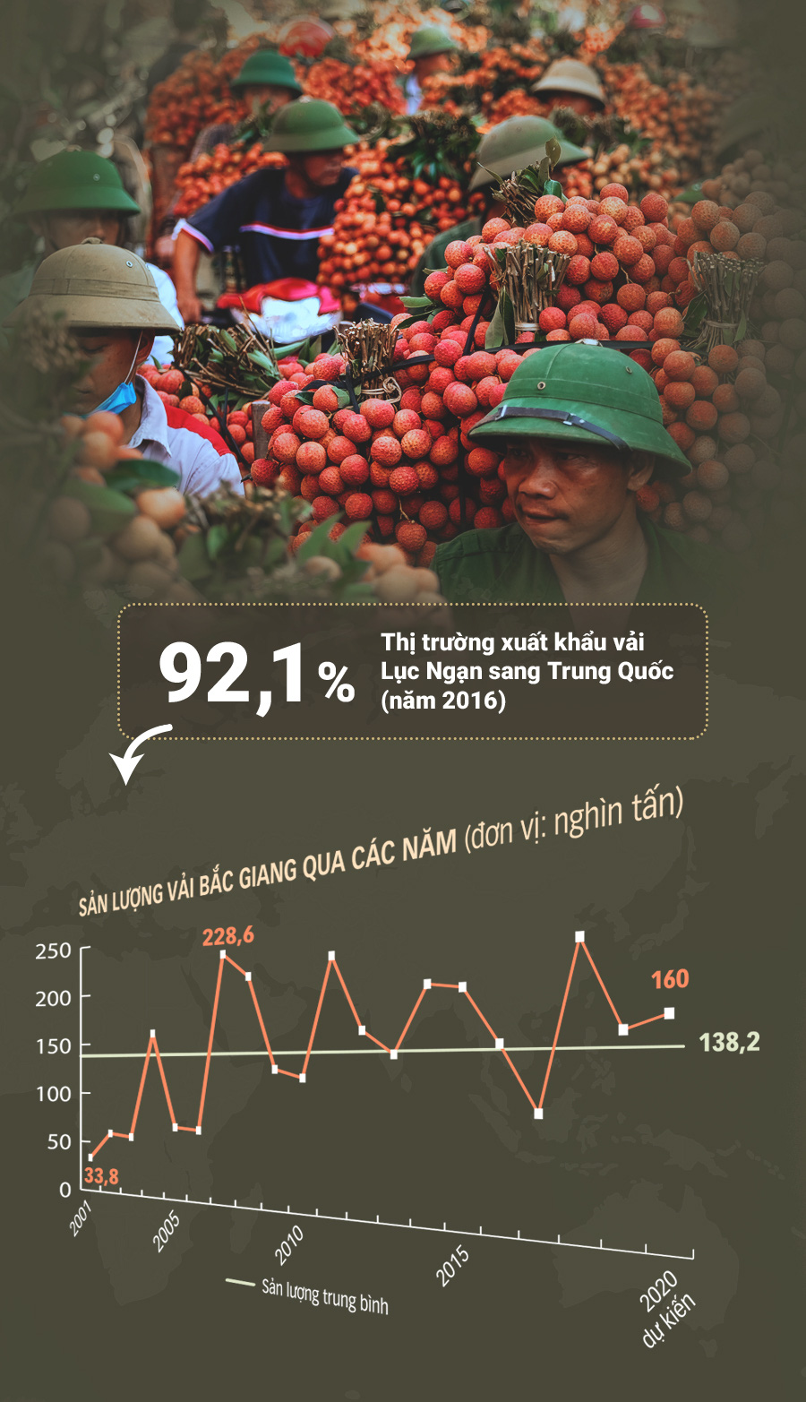 Hành trình quả vải - Ảnh 8.