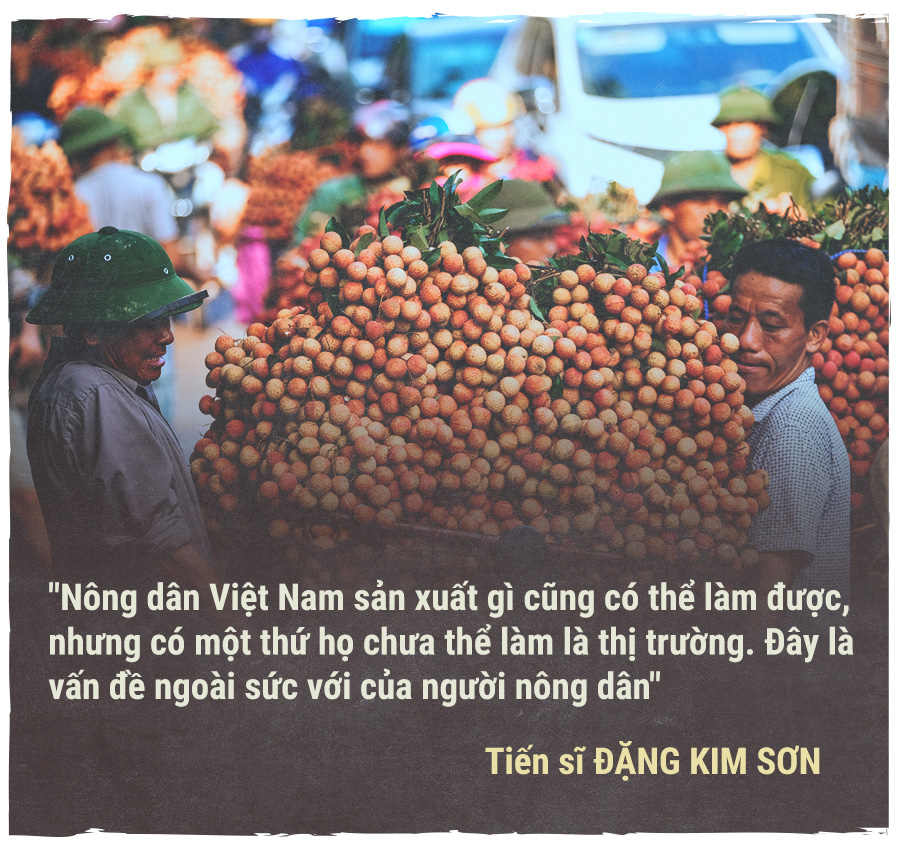 Hành trình quả vải - Ảnh 4.