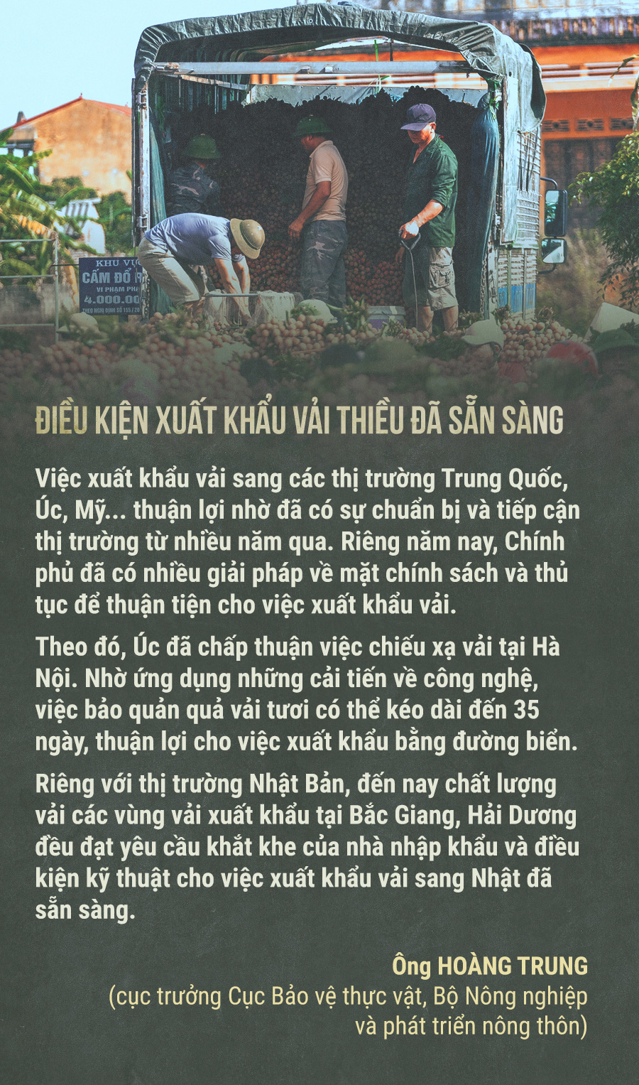 Hành trình quả vải - Ảnh 10.