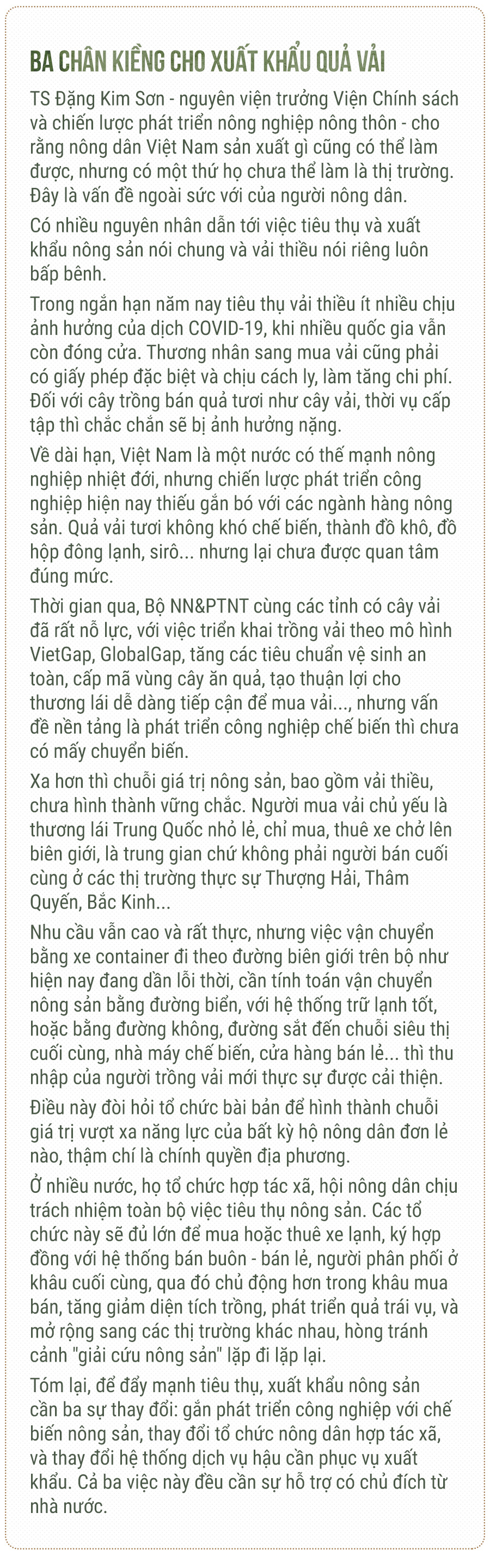 Hành trình quả vải - Ảnh 14.