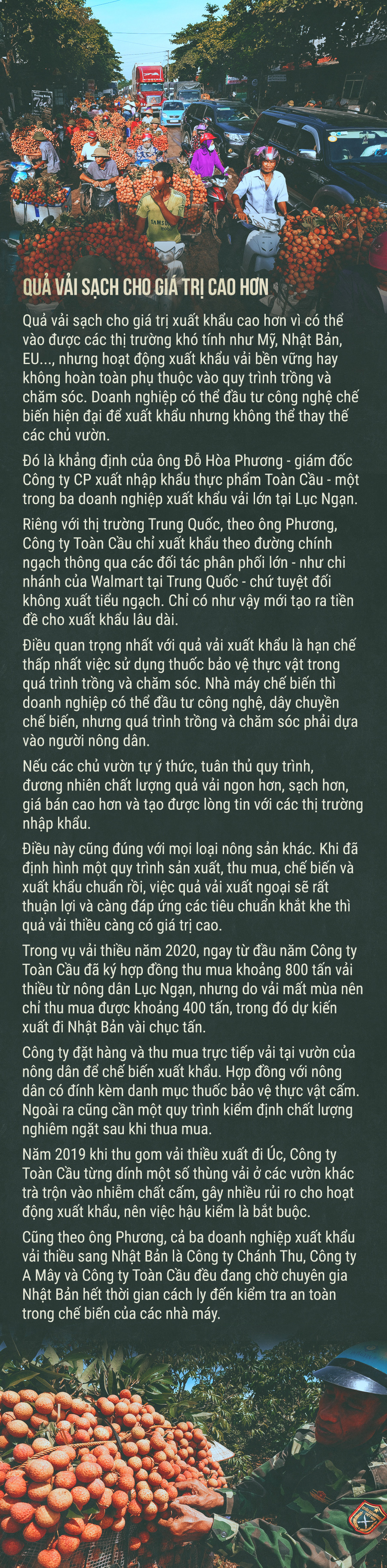 Hành trình quả vải - Ảnh 15.