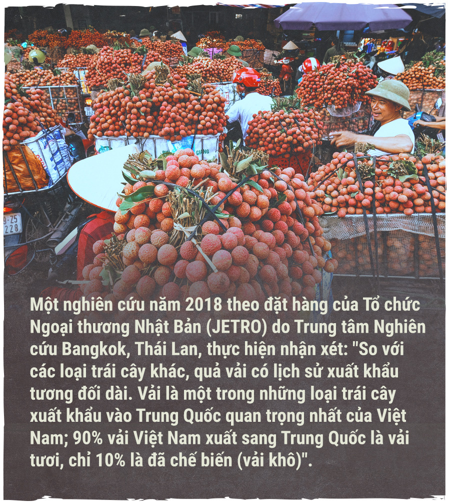 Hành trình quả vải - Ảnh 5.
