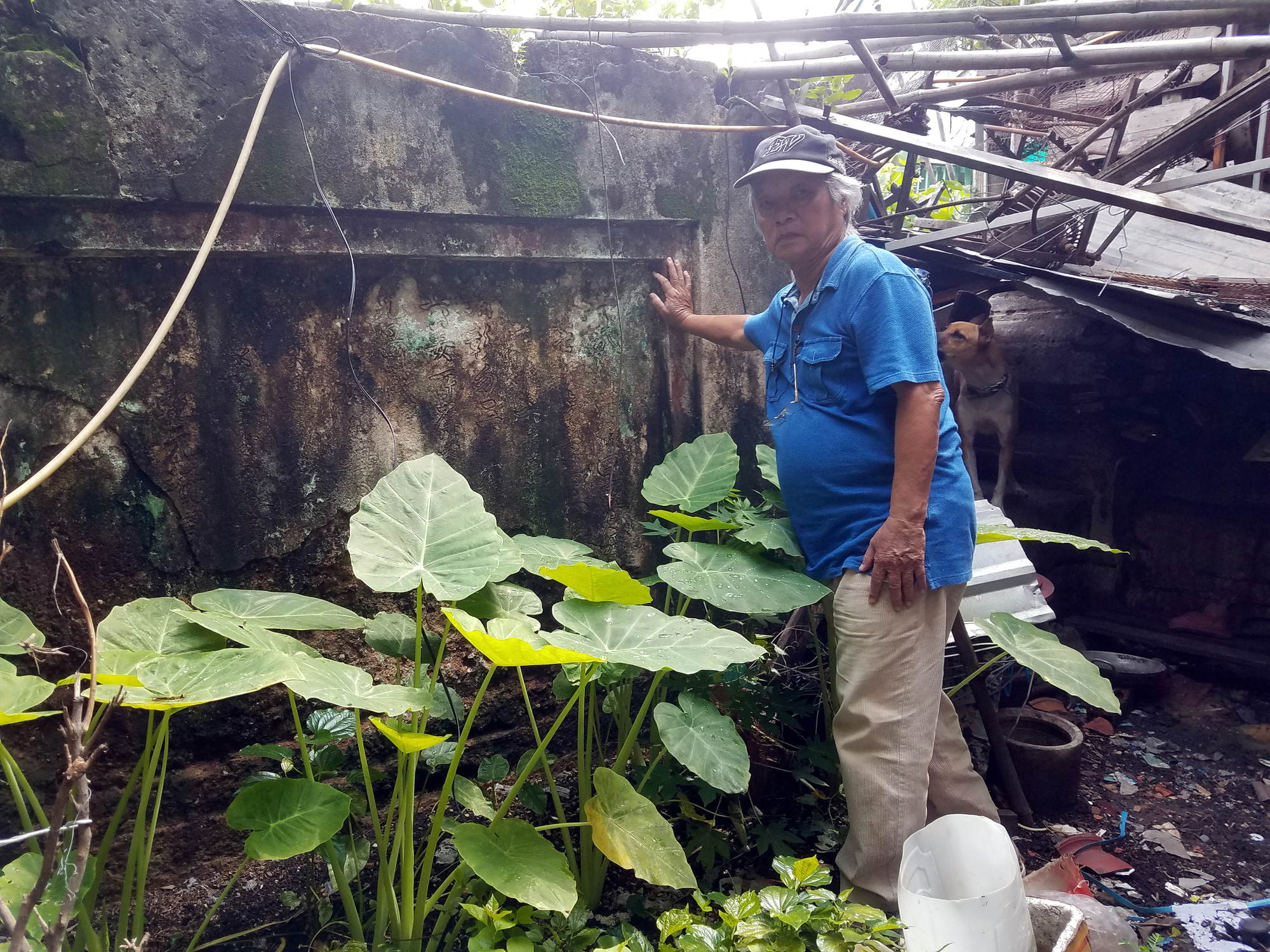 Đi tìm viếng mộ Trương Minh Ký: Dấu vết danh nhân kẹt giữa bêtông đô ...