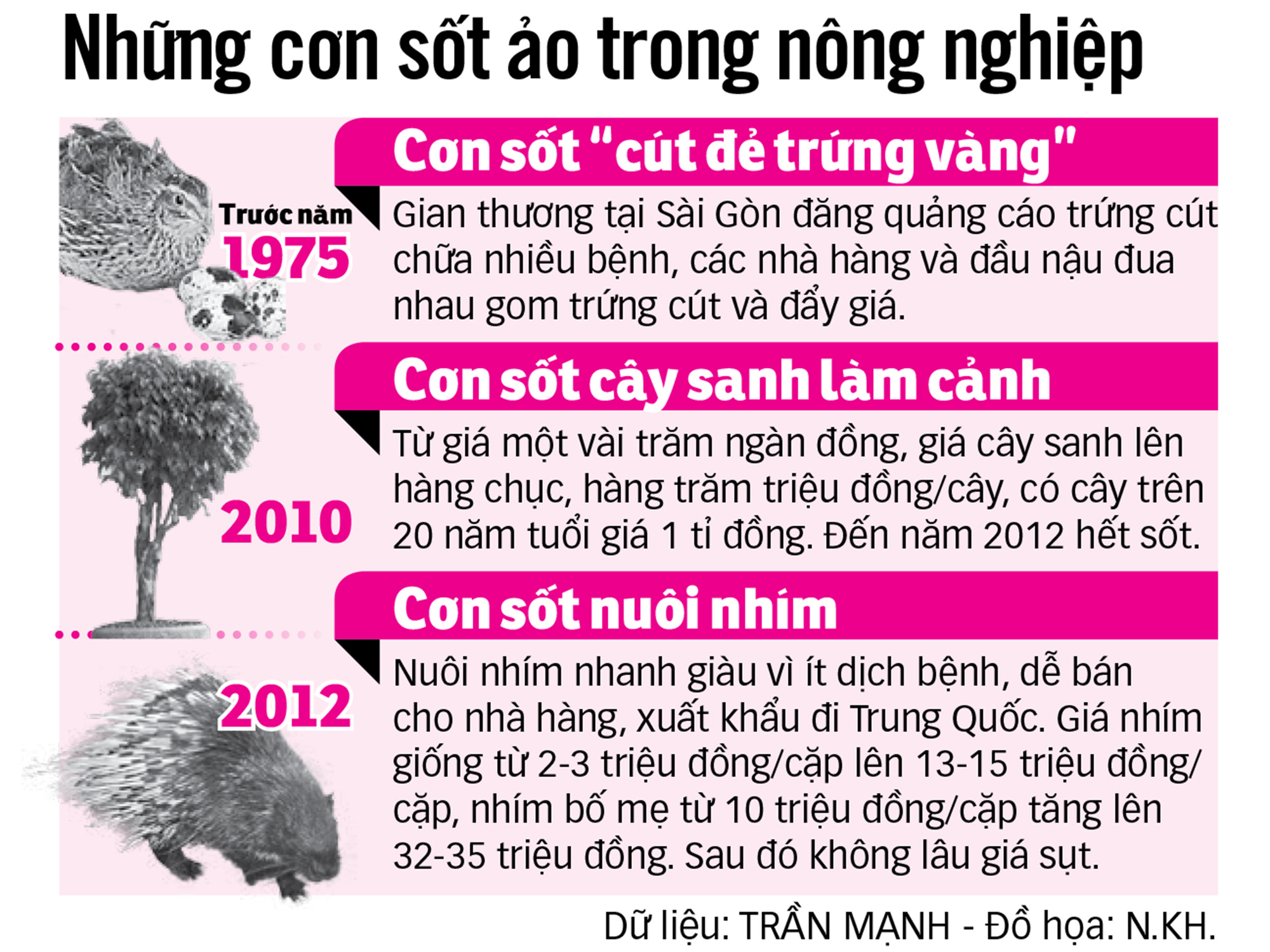 Sự thật phía sau những cây lan đột biến có giá hàng chục tỉ đồng - Ảnh 3. Sự thật phía sau những cây lan đột biến có giá hàng chục tỉ đồng - Ảnh 3.