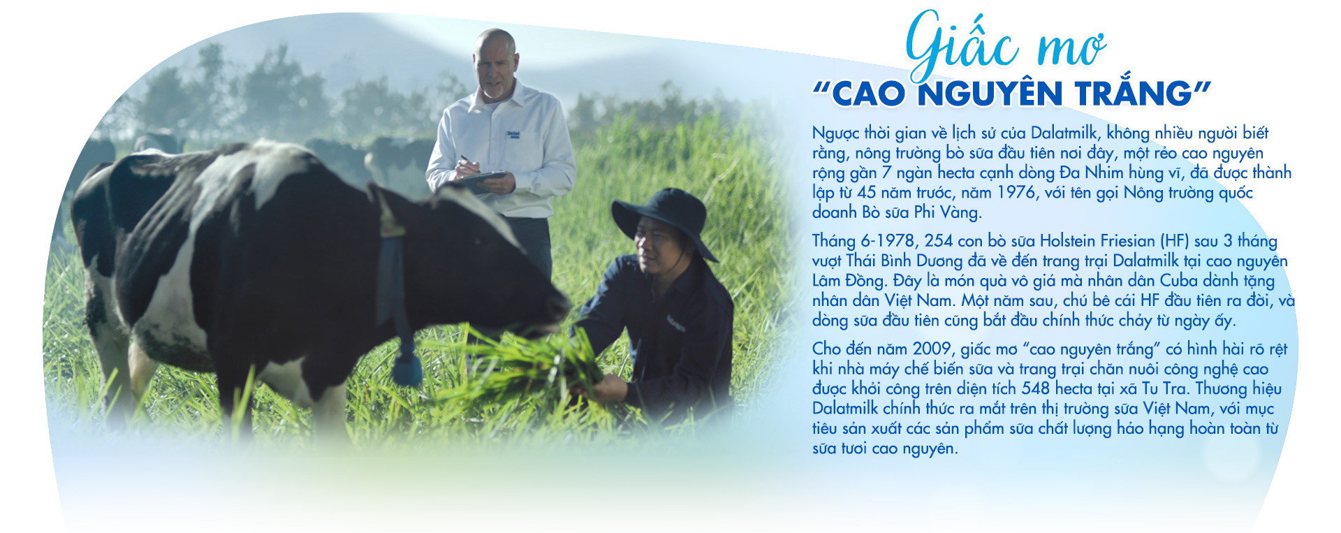 Dalatmilk: Tinh khiết ‘di sản từ cao nguyên’ - Ảnh 4.