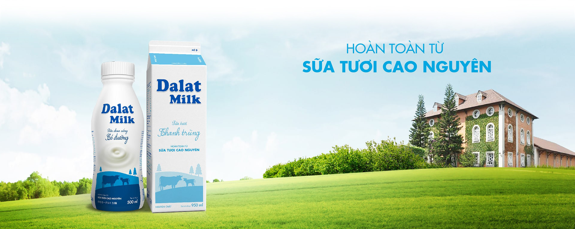 Dalatmilk: Tinh khiết ‘di sản từ cao nguyên’ - Ảnh 11.