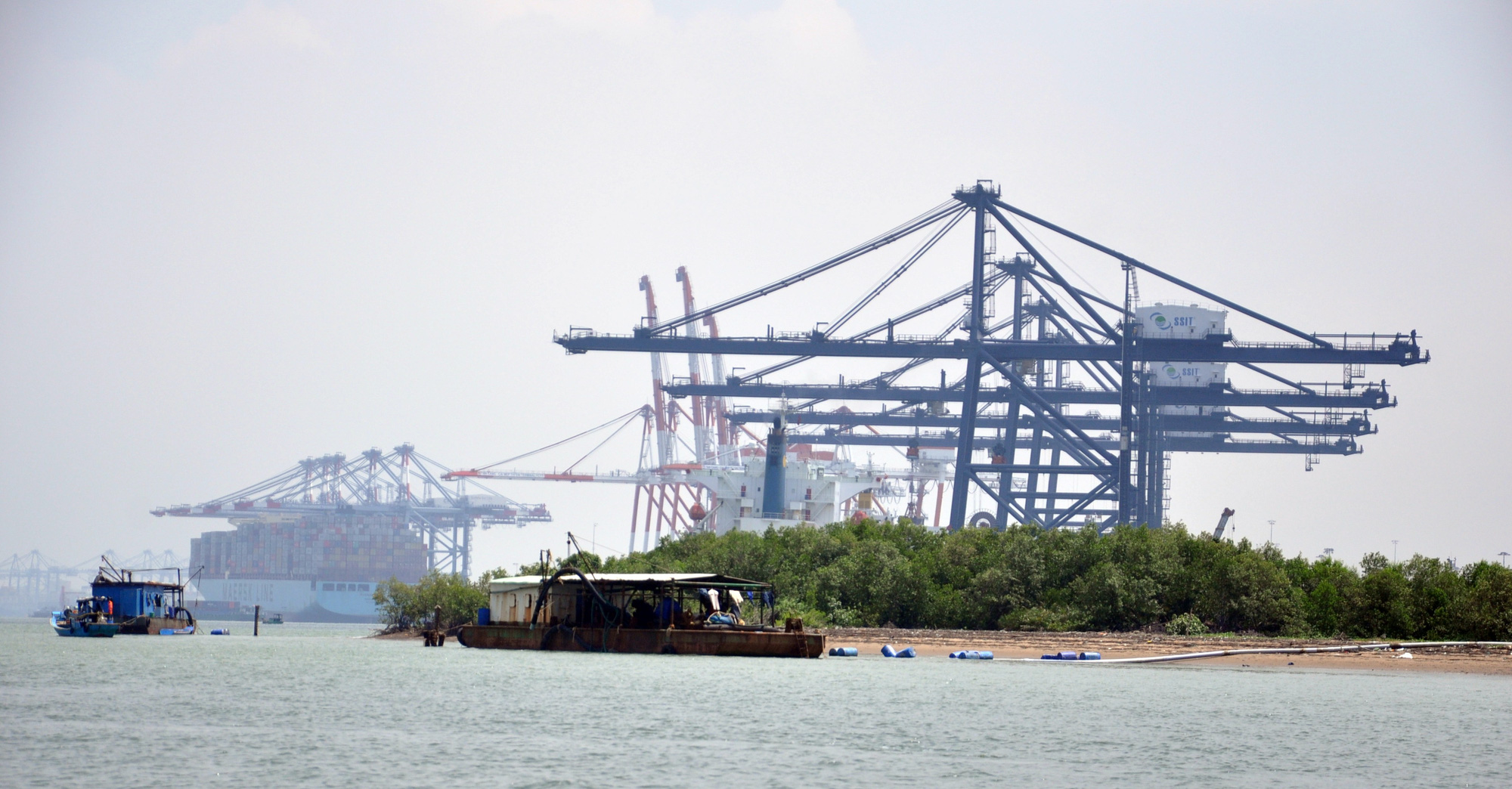 Xây cầu Phước An gần 5.000 tỉ đồng, nối cảng Cái Mép - Thị Vải với cao tốc - Ảnh 2. Xây cầu Phước An gần 5.000 tỉ đồng, nối cảng Cái Mép - Thị Vải với cao tốc - Ảnh 2.