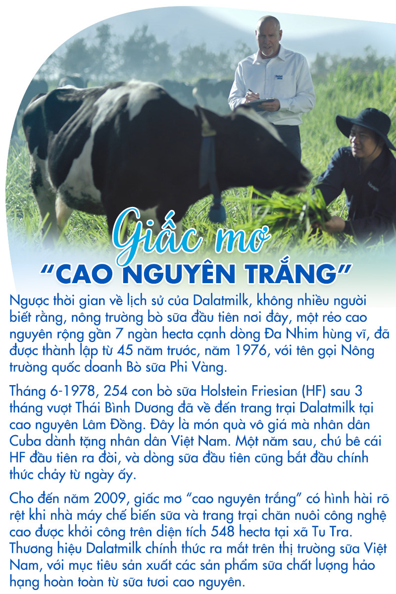 Dalatmilk: Tinh khiết ‘di sản từ cao nguyên’ - Ảnh 4.