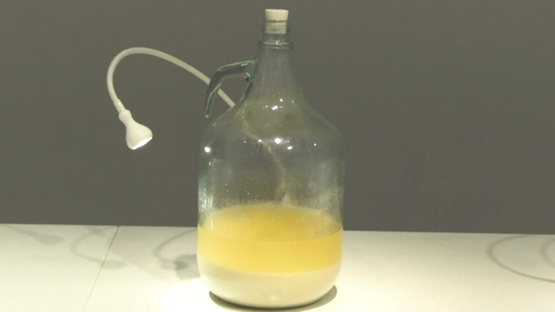 Triển lãm ‘thức uống kinh tởm’  - Ảnh 1.