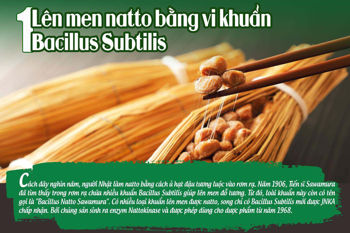 Phân biệt giữa Nattokinase được Hiệp hội JNKA chứng nhận và Nattokinase khác - Ảnh 2.