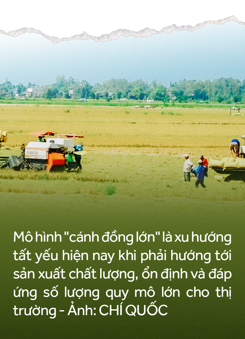 Đồng bằng sông Cửu Long: 35 năm thay da đổi thịt - Ảnh 45.