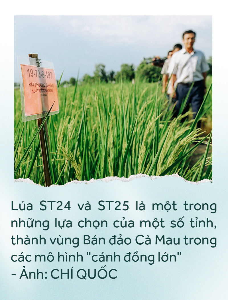 Đồng bằng sông Cửu Long: 35 năm thay da đổi thịt - Ảnh 46.