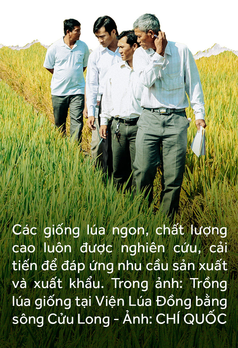 Đồng bằng sông Cửu Long: 35 năm thay da đổi thịt - Ảnh 9.