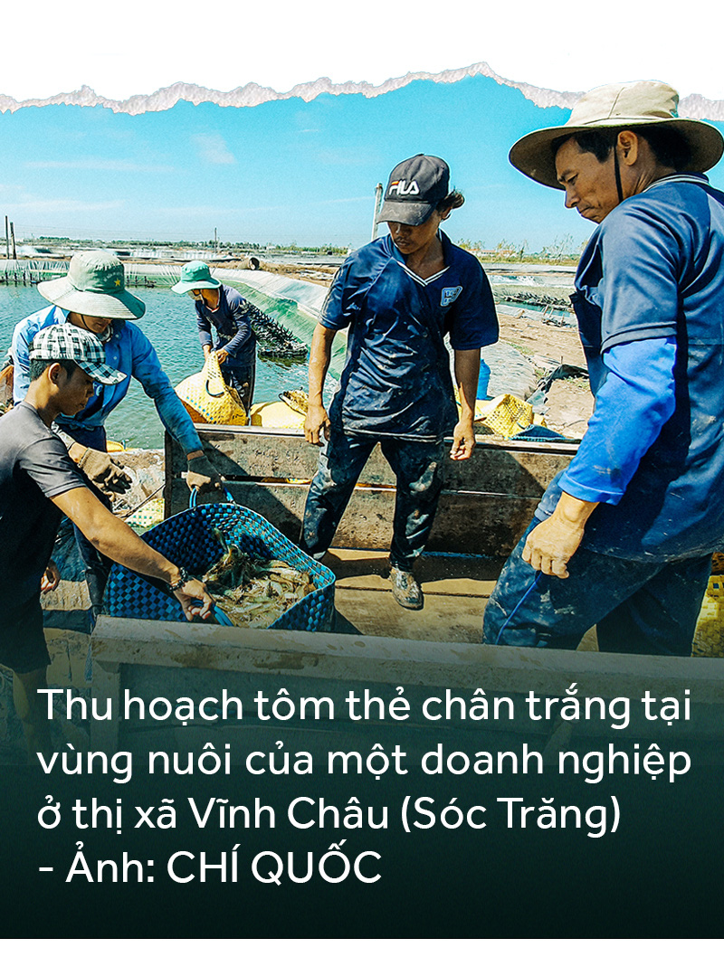 Đồng bằng sông Cửu Long: 35 năm thay da đổi thịt - Ảnh 12.