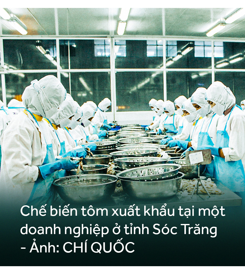 Đồng bằng sông Cửu Long: 35 năm thay da đổi thịt - Ảnh 14.
