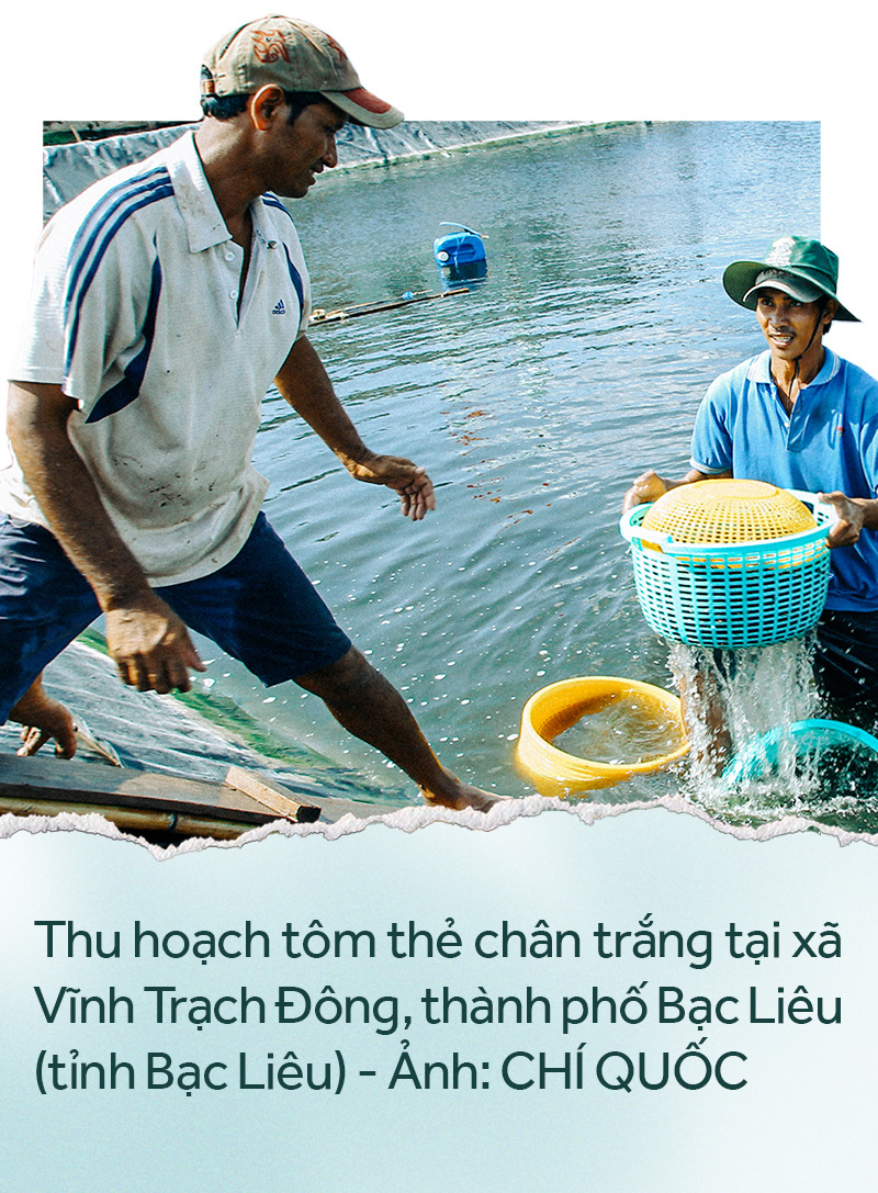 Đồng bằng sông Cửu Long: 35 năm thay da đổi thịt - Ảnh 13.