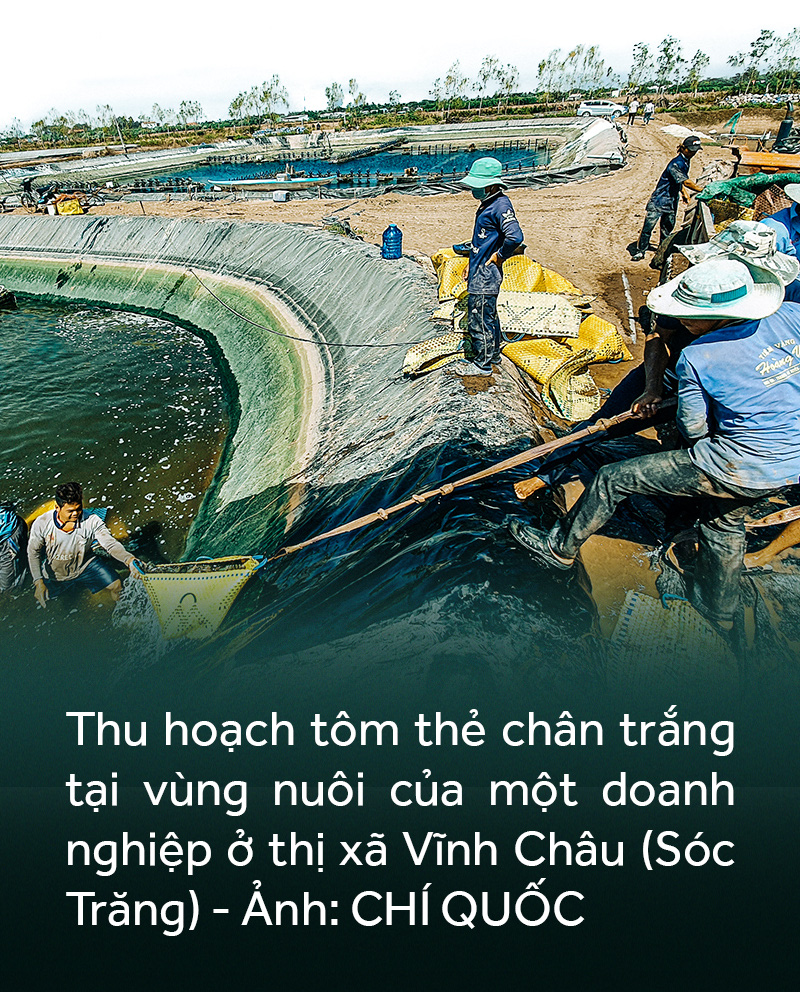 Đồng bằng sông Cửu Long: 35 năm thay da đổi thịt - Ảnh 15.