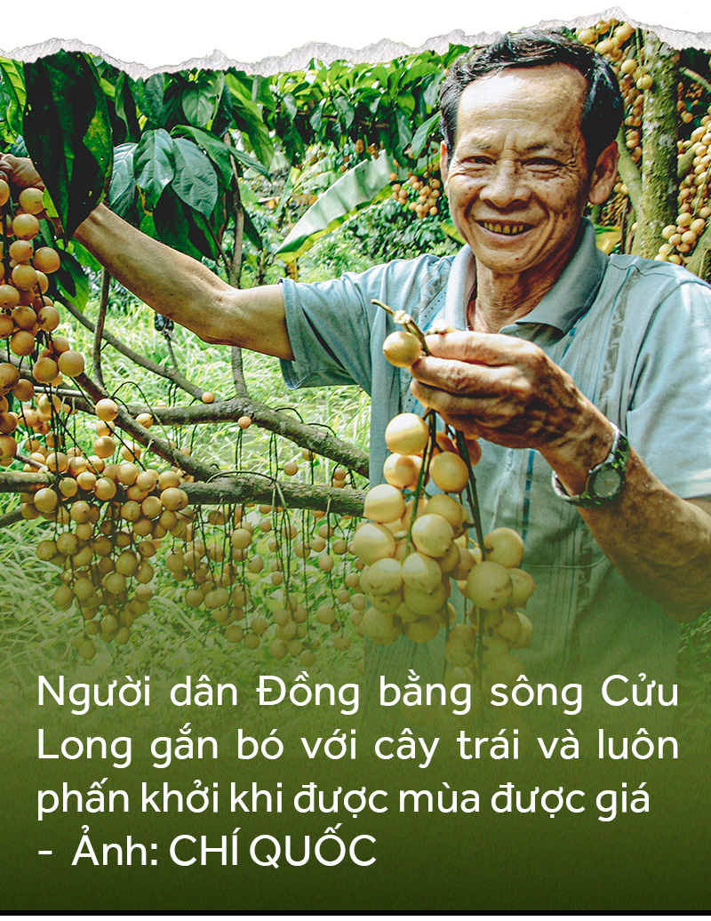 Đồng bằng sông Cửu Long: 35 năm thay da đổi thịt - Ảnh 33.
