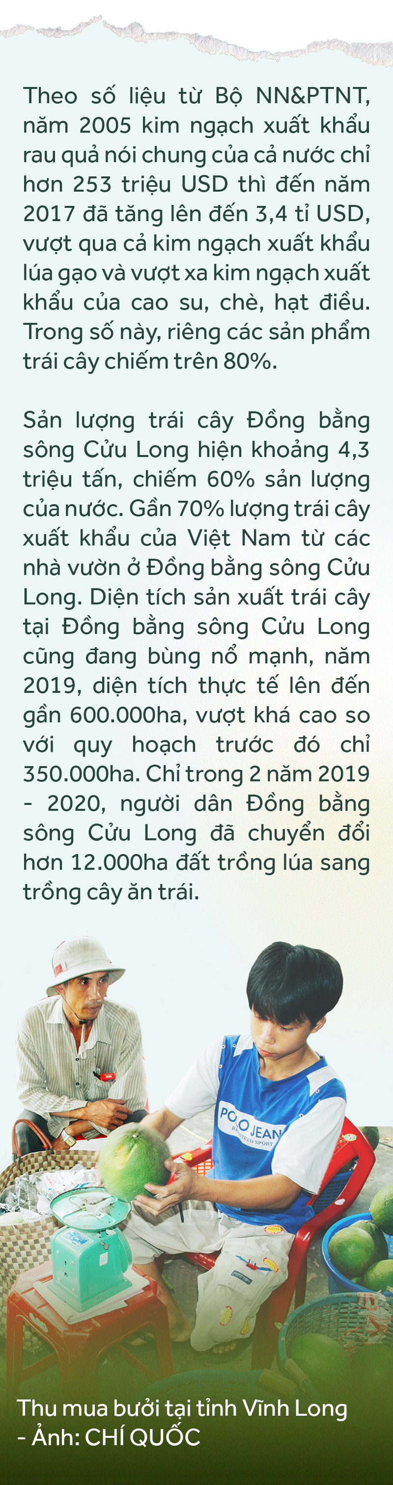 Đồng bằng sông Cửu Long: 35 năm thay da đổi thịt - Ảnh 31.