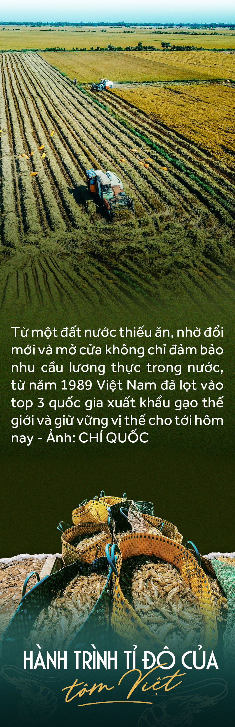 Đồng bằng sông Cửu Long: 35 năm thay da đổi thịt - Ảnh 10.